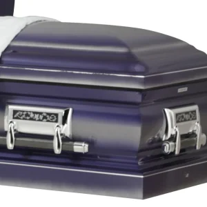 VJW Presidential Brushed Series (SC) - Presidential (view 2 of 14) | Royal Caskets and Urns