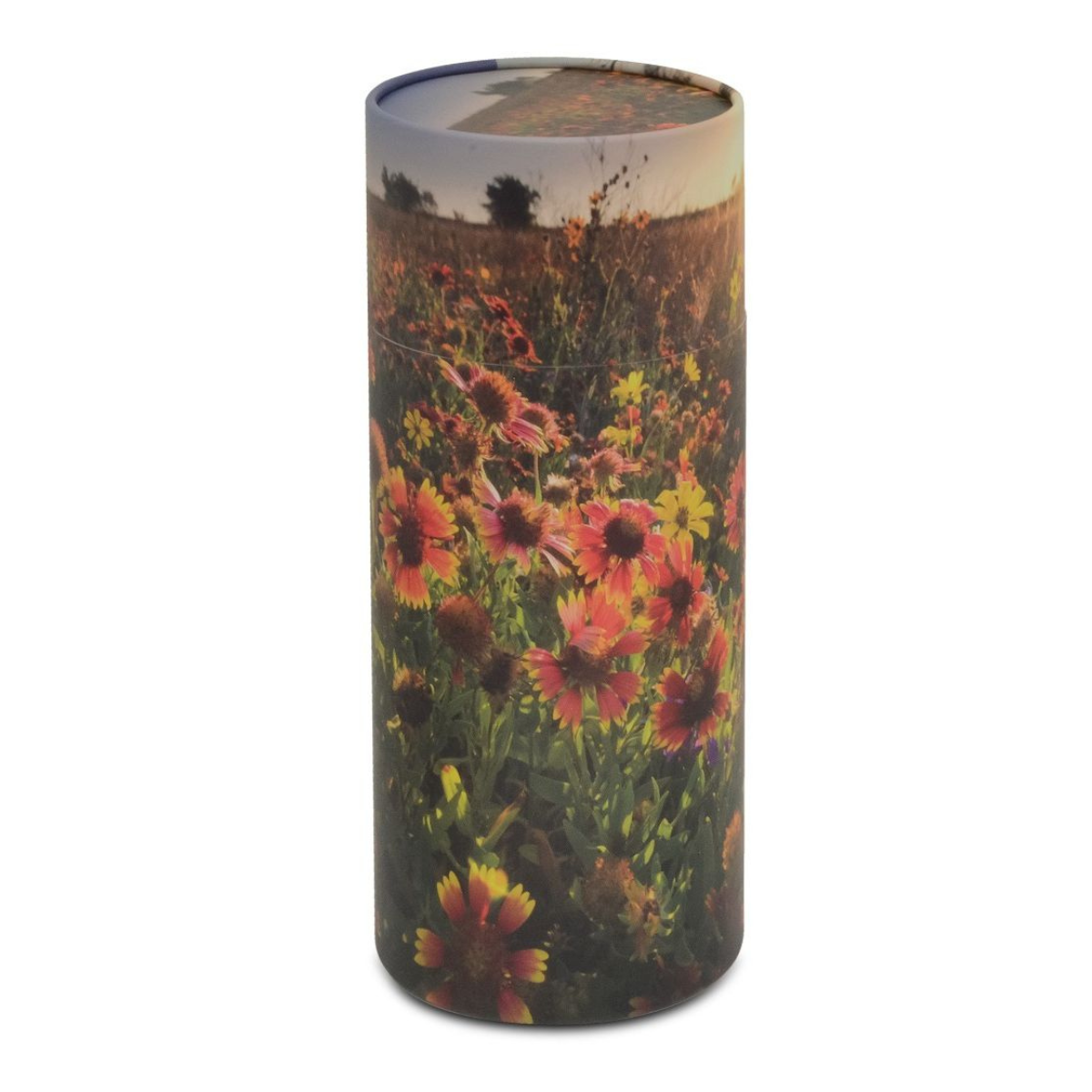Flowers cylinder urn - Biodegradable Urns | Royal Caskets and Urns